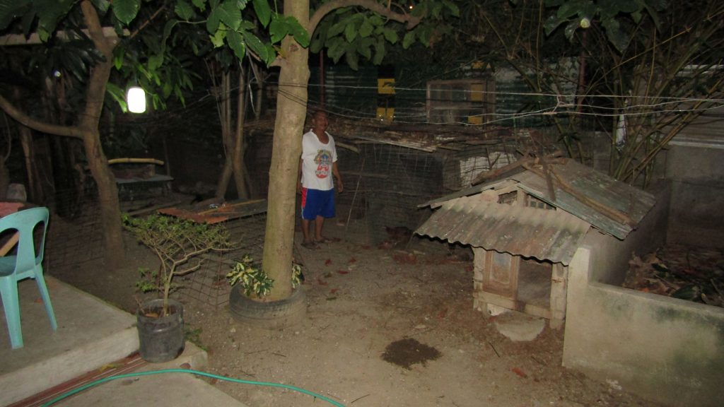 Awake before dawn, Arthur feeds his flock of chickens, ducks, hens, pigs, geese, dogs and quails.