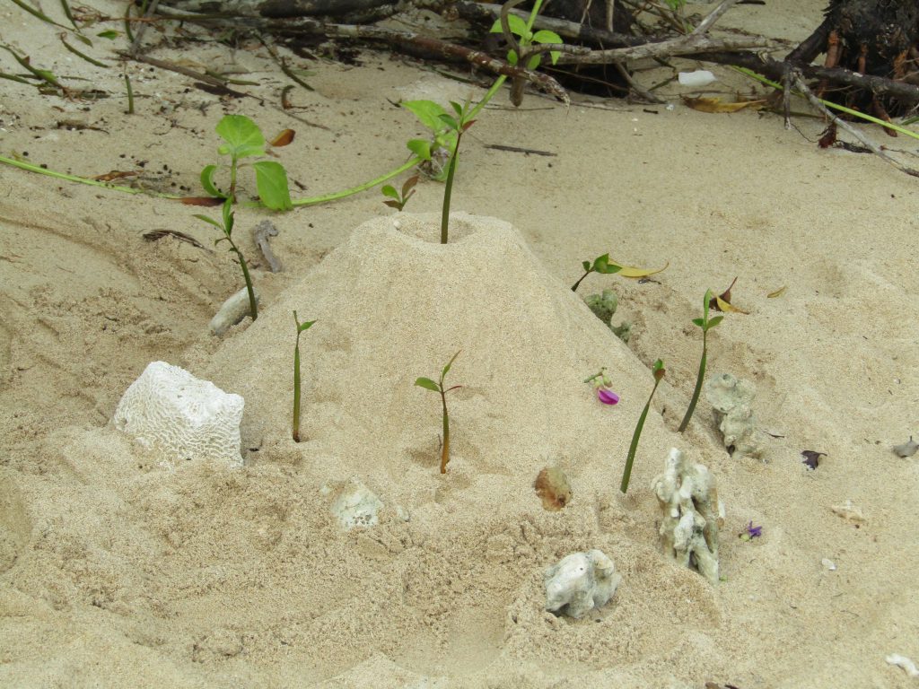 Our apprentice guide playfully created this mound of sand at the 'other ilog' in Cagbalete Island