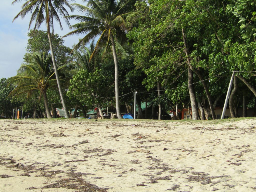 Lush vegetation as we approach the 'other ilog'