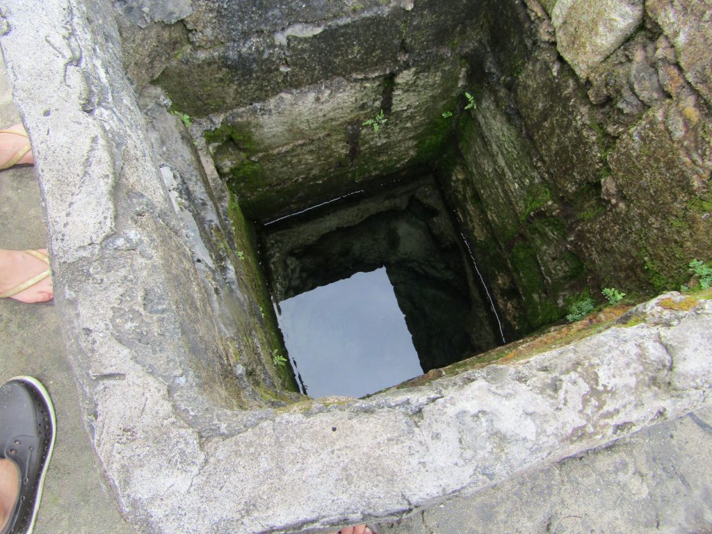 Fresh water inside a mossy well in Cagbalete Island