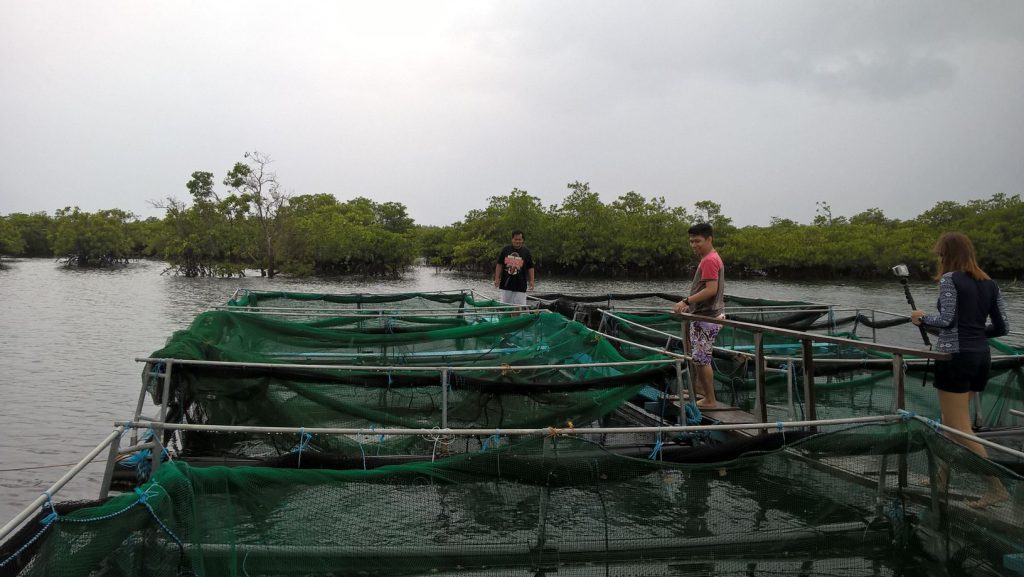 The expanse where fresh and sea water meet ('ilog') in Cagbalete Island 