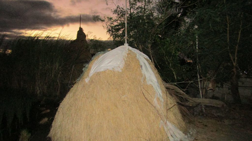 The mound of hay at sunrise