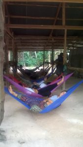 Nap time inside the Angkor complex